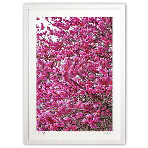 ŉ g~ (mitan)CeA Ǌ| z i |X^[ A[g rO ւɏ  v[g _ A[gt[