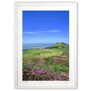 ŉ nx璭߂痢 (mitan)CeA Ǌ| z i |X^[ A[g rO ւɏ  v[g _ A[gt[