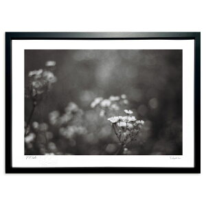 ŉ  (100 Cubic Inch)CeA Ǌ| z i |X^[ A[g rO ւɏ  v[g _ A[gt[