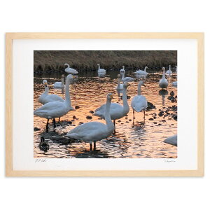 ŉ ̐ɔQ (VՂ܂񂶂イ)CeA Ǌ| z i |X^[ A[g rO ւɏ  v[g _ A[gt[