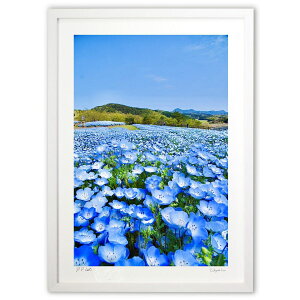 ŉ ltB (mitan)CeA Ǌ| z i |X^[ A[g rO ւɏ  v[g _ A[gt[