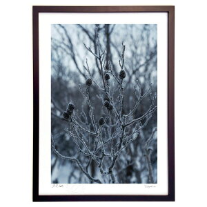 ŉ Ɋ (100 Cubic Inch)CeA Ǌ| z i |X^[ A[g rO ւɏ  v[g _ A[gt[