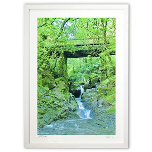 ŉ V (mitan)CeA Ǌ| z i |X^[ A[g rO ւɏ  v[g _ A[gt[