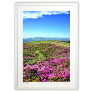 ŉ nx璭߂痢2 (mitan)CeA Ǌ| z i |X^[ A[g rO ւɏ  v[g _ A[gt[