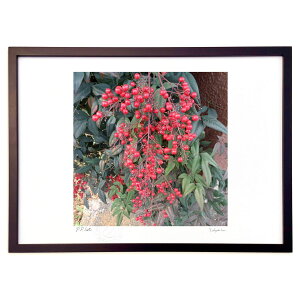 ŉ Ԃ (tbgmilk)CeA Ǌ| z i |X^[ A[g rO ւɏ  v[g _ A[gt[