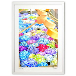 ŉ ̂悤Ȏz (mitan)CeA Ǌ| z i |X^[ A[g rO ւɏ  v[g _ A[gt[