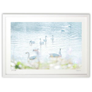 ŉ ~̂ʂ (̂͂)CeA Ǌ| z i |X^[ A[g rO ւɏ  v[g _ A[gt[