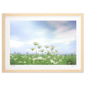 ŉ g (̂͂)CeA Ǌ| z i |X^[ A[g rO ւɏ  v[g _ A[gt[