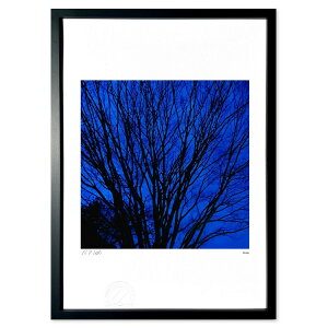 ŉ ݂̖ (Old'sGallery)