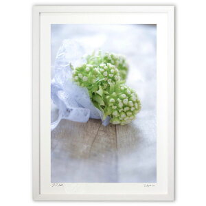 ŉ tFbouquet (̂͂)CeA Ǌ| z i |X^[ A[g rO ւɏ  v[g _ A[gt[