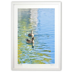 ŉ ~ (mitan)CeA Ǌ| z i |X^[ A[g rO ւɏ  v[g _ A[gt[