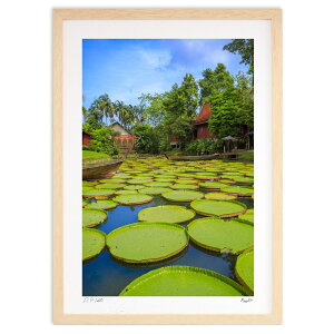 yƂ̍iz^C炵뉀̕i^CAv[Pbg̘@̒뉀̕iłB썑炵&