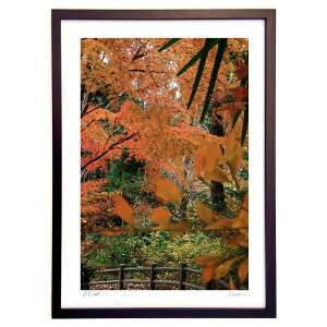 ŉ gt (͂Ȃ)CeA Ǌ| z i |X^[ A[g rO ւɏ  v[g _ A[gt[