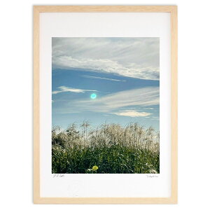 ŉ PXXLƋ (͂Ȃ)CeA Ǌ| z i |X^[ A[g rO ւɏ  v[g _ A[gt[