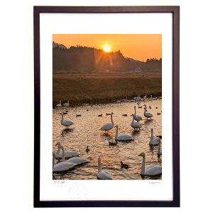 ŉ [Ăɐ܂ (VՂ܂񂶂イ)CeA Ǌ| z i |X^[ A[g rO ւɏ  v[g _ A[gt[