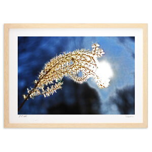 ŉ ƌ͂ꂷ (쌛)CeA Ǌ| z i |X^[ A[g rO ւɏ  v[g _ A[gt[