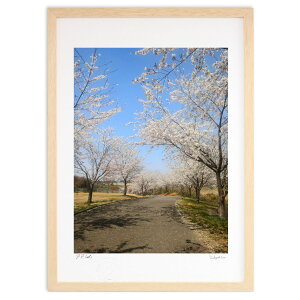 ŉ  (mii7aa)CeA Ǌ| z i |X^[ A[g rO ւɏ  v[g _ A[gt[