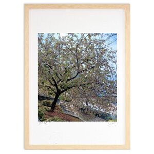 ŉ Jオ̋ ()CeA Ǌ| z i |X^[ A[g rO ւɏ  v[g _ A[gt[