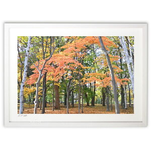 ŉ gt̖؁X (Ȃ)CeA Ǌ| z i |X^[ A[g rO ւɏ  v[g _ A[gt[