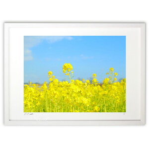 ŉ ؂̉Ԕ ()CeA Ǌ| z i |X^[ A[g rO ւɏ  v[g _ A[gt[