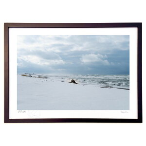 ŉ ~̍l (100 Cubic Inch)CeA Ǌ| z i |X^[ A[g rO ւɏ  v[g _ A[gt[