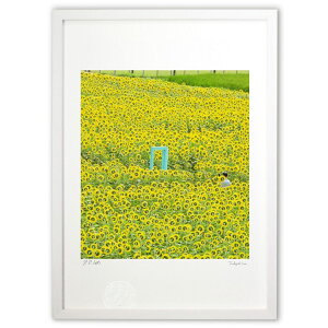 ŉ ʐ^() (VtH)CeA Ǌ| z i |X^[ A[g rO ւɏ  v[g _ A[gt[