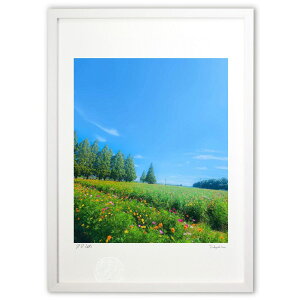 ŉ ʐ^(RXX) (VtH)CeA Ǌ| z i |X^[ A[g rO ւɏ  v[g _ A[gt[