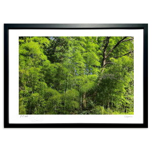 ŉ | (쌛)CeA Ǌ| z i |X^[ A[g rO ւɏ  v[g _ A[gt[