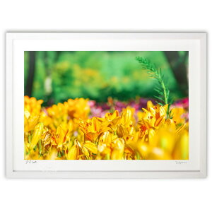 ŉ Cɍ炫݂ (crazetaka)CeA Ǌ| z i |X^[ A[g rO ւɏ  v[g _ A[gt[