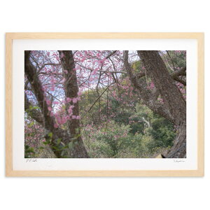 �ŉ� �g�~4 (MINS)�C���e���A �Ǌ|�� �z���� ���i�� �|�X�^�[ �A�[�g ���r���O ���ւɏ��� ���� �v���[���g ���_�� �A�[�g�t���[��