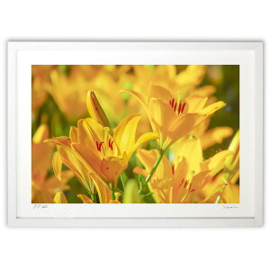 ŉ C (crazetaka)CeA Ǌ| z i |X^[ A[g rO ւɏ  v[g _ A[gt[