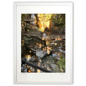 ŉ 闬 (~I)CeA Ǌ| z i |X^[ A[g rO ւɏ  v[g _ A[gt[