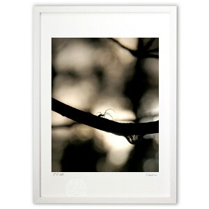 ŉ X̏ZlƋt (Agura)CeA Ǌ| z i |X^[ A[g rO ւɏ  v[g _ A[gt[