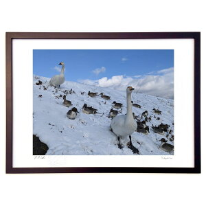 ŉ ƋYނ (VՂ܂񂶂イ)CeA Ǌ| z i |X^[ A[g rO ւɏ  v[g _ A[gt[