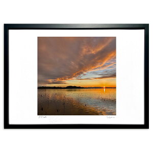 ŉ [Ă̌ ( F)CeA Ǌ| z i |X^[ A[g rO ւɏ  v[g _ A[gt[