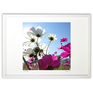 �ŉ� ���z�Ɍ������� (��񂿂��)�C���e���A �Ǌ|�� �z���� ���i�� �|�X�^�[ �A�[�g ���r���O ���ւɏ��� ���� �v���[���g ���_�� �A�[�g�t���[��