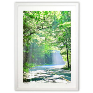 ŉ XJCČ (mitan)CeA Ǌ| z i |X^[ A[g rO ւɏ  v[g _ A[gt[