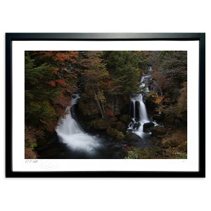 ŉ ̑ (SAKURA44)CeA Ǌ| z i |X^[ A[g rO ւɏ  v[g _ A[gt[