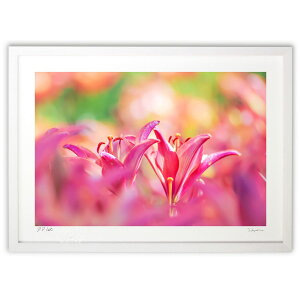 ŉ 킢 (crazetaka)CeA Ǌ| z i |X^[ A[g rO ւɏ  v[g _ A[gt[