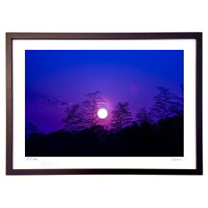 ŉ DDD̓@|MƗ[z (쌛)CeA Ǌ| z i |X^[ A[g rO ւɏ  v[g _ A[gt[