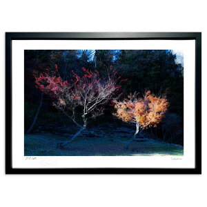 ŉ DDD̈ (쌛)CeA Ǌ| z i |X^[ A[g rO ւɏ  v[g _ A[gt[