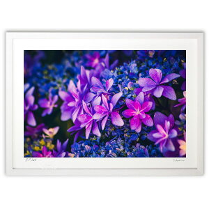 ŉ Ă̍ʂ (crazetaka)CeA Ǌ| z i |X^[ A[g rO ւɏ  v[g _ A[gt[