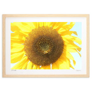 �ŉ� �P���Ђ܂�� (��񂿂��)�C���e���A �Ǌ|�� �z���� ���i�� �|�X�^�[ �A�[�g ���r���O ���ւɏ��� ���� �v���[���g ���_�� �A�[�g�t���[��