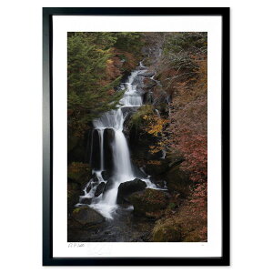 ŉ ̑ (SAKURA44)CeA Ǌ| z i |X^[ A[g rO ւɏ  v[g _ A[gt[