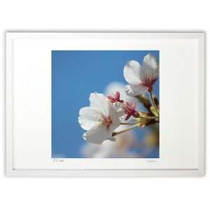 ŉ  (񂿂)CeA Ǌ| z i |X^[ A[g rO ւɏ  v[g _ A[gt[