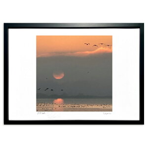 ŉ ̌Ώ ( F)CeA Ǌ| z i |X^[ A[g rO ւɏ  v[g _ A[gt[