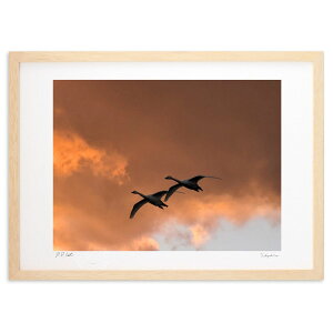 ŉ _̉e (VՂ܂񂶂イ)CeA Ǌ| z i |X^[ A[g rO ւɏ  v[g _ A[gt[