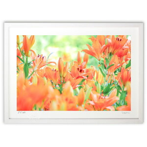 ŉ ₳ (crazetaka)CeA Ǌ| z i |X^[ A[g rO ւɏ  v[g _ A[gt[