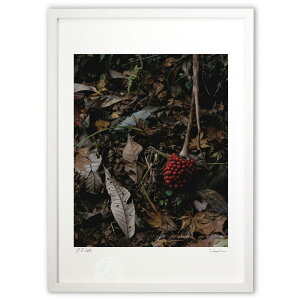 ŉ X̋C (Agura)CeA Ǌ| z i |X^[ A[g rO ւɏ  v[g _ A[gt[