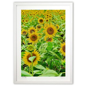 �ŉ� �Ђ܂�� (mitan)�C���e���A �Ǌ|�� �z���� ���i�� �|�X�^�[ �A�[�g ���r���O ���ւɏ��� ���� �v���[���g ���_�� �A�[�g�t���[��